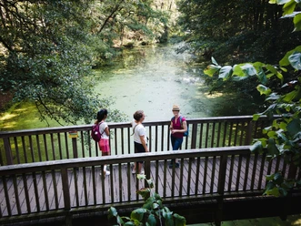 Brücke über die Löcknitz