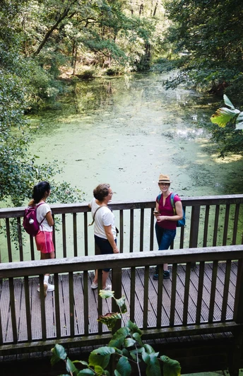Brücke über die Löcknitz