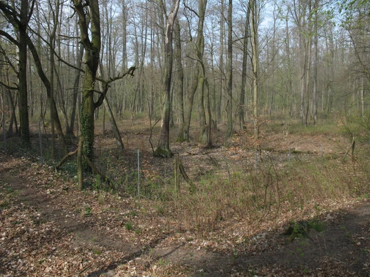 Ehemalige Entenfang-Anlage der Hohenzollern nahe Wildpark-West in Schwielowse, Geltow