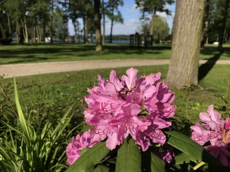 Kurpark Bad Saarow