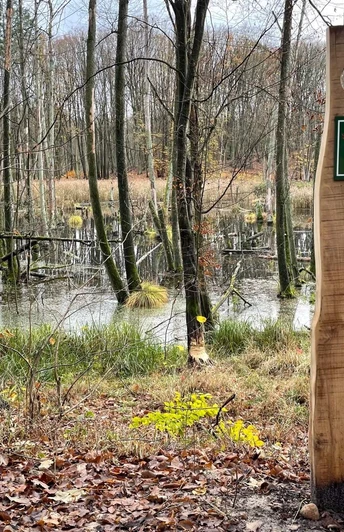 Wanderroute "Abenteuer mit Stobbi"