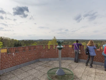 Ausblick vom Wasserturm Waldsieversdorf