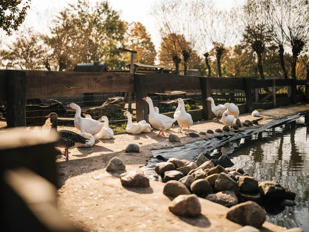 Kinderbauernhof Marienhof