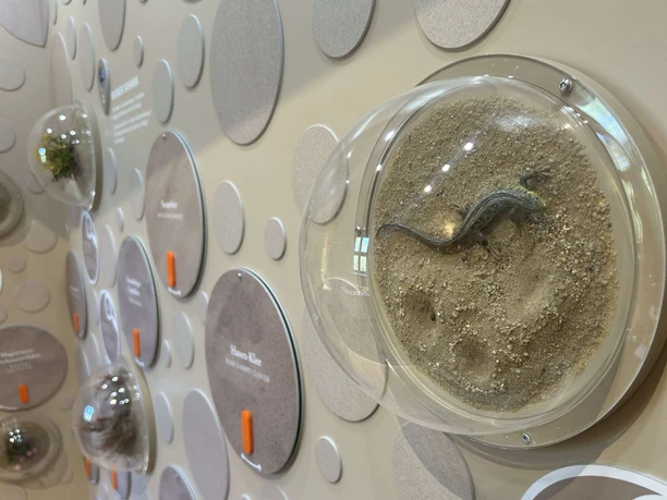 Ausstellung im Besucherzentrum Burg Storkow (Mark)