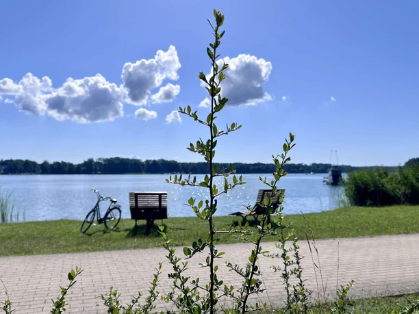 Uferpromenade des Scharmützelsee in Bad Saarow