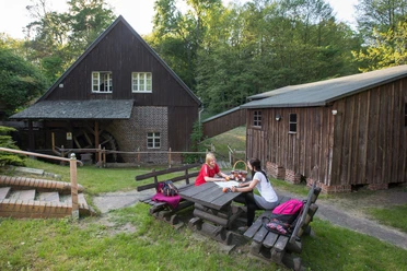 Schwerzkoer Mühle