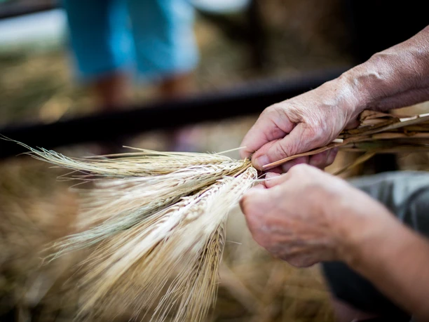 Oderbruch Museum Altranft