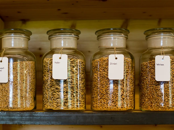 Oderbruch Museum Altranft