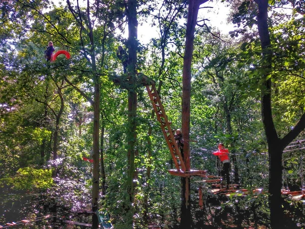 Kletterwald Grünheide