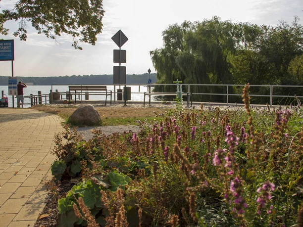 Buergerpark Gruenheide
