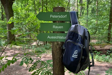 Wanderung durch die Rauener Berge