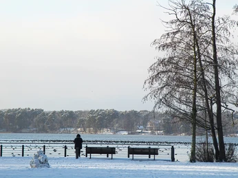 Am Ufer des Scharmützelsees im Winter