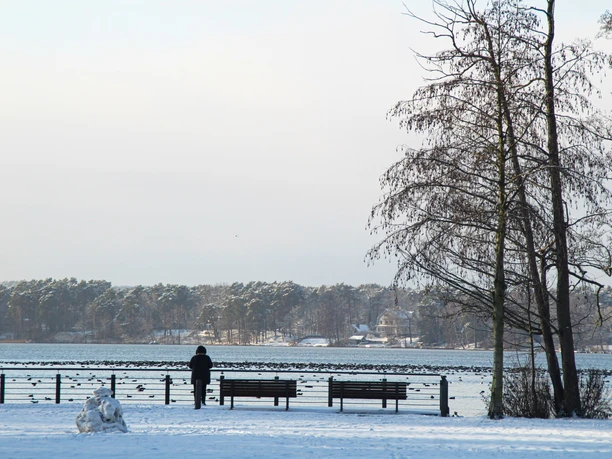 Am Ufer des Scharmützelsees im Winter