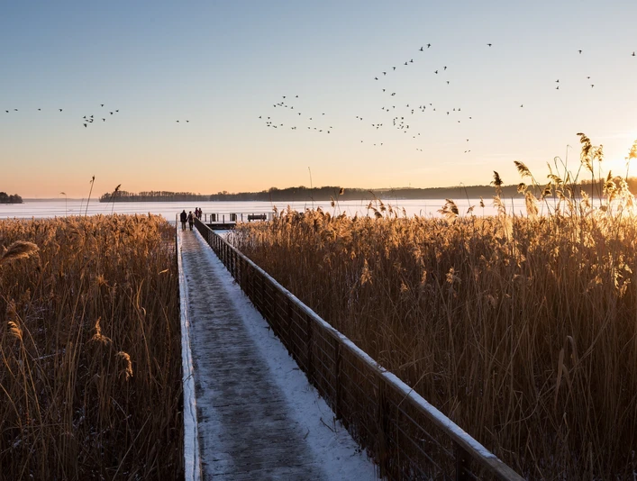 Bad Saarow am Scharmützelsee