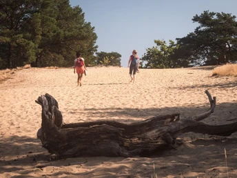 Binnendüne Waltersberge