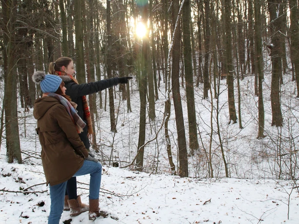 Wanderung Rauener Berge