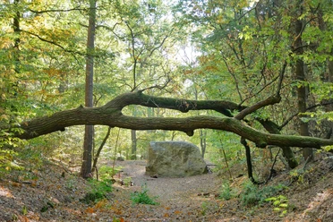 Markgrafensteine in den Rauener Bergen