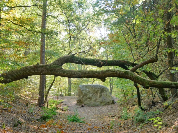 Markgrafensteine in den Rauener Bergen