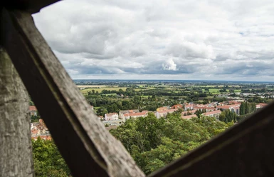 Blick in die Ferne vom Aussichtsturm auf dem Galgenberg