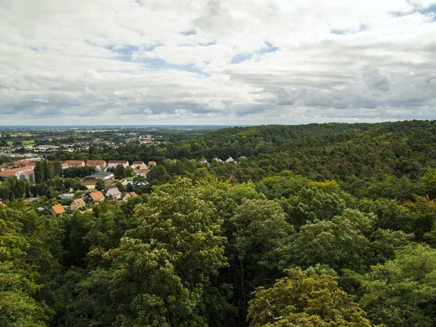 Blick in die Ferne vom Aussichtsturm auf dem Galgenberg