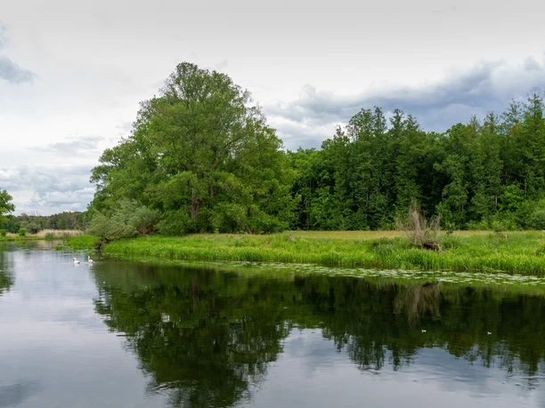 Blick auf den Maxsee