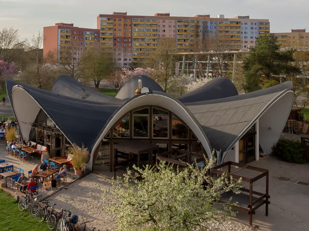 Seerose in der Neustädter Havelbucht