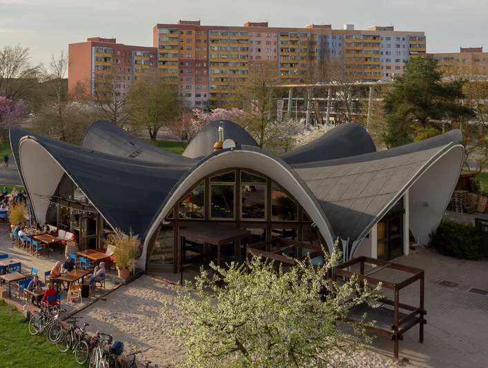 Seerose in der Neustädter Havelbucht