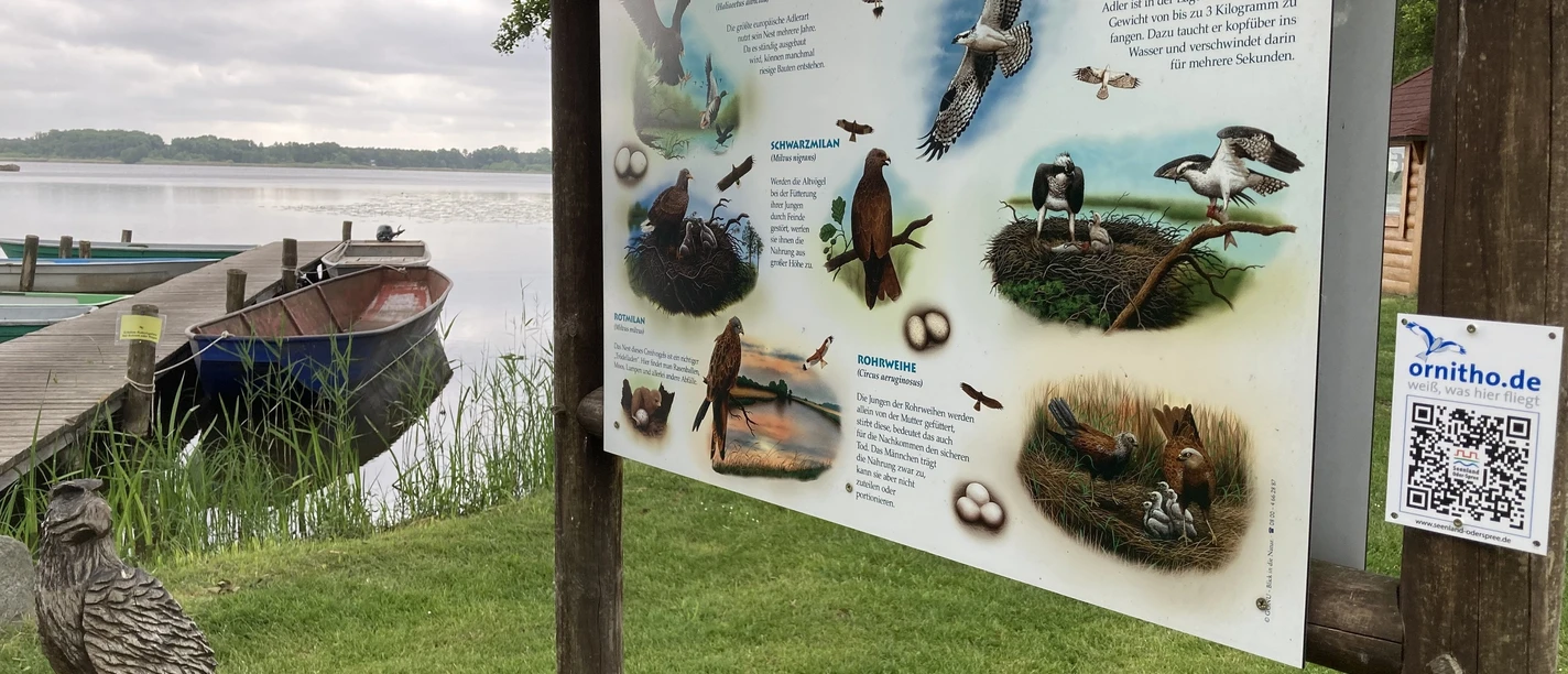 Birdwatching in Philadelphia