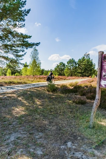 Birdwatching in der Reicherskreuzer Heide