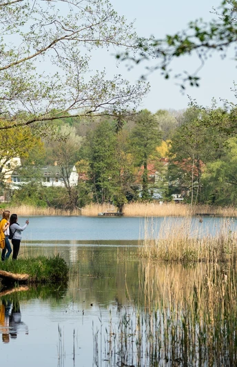 Birdwatching im Naturpark Märkische Schweiz