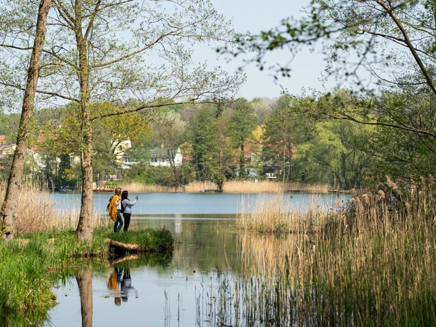 Birdwatching im Naturpark Märkische Schweiz