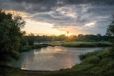 Birdwatchin an der Ziltendorfer Niederung