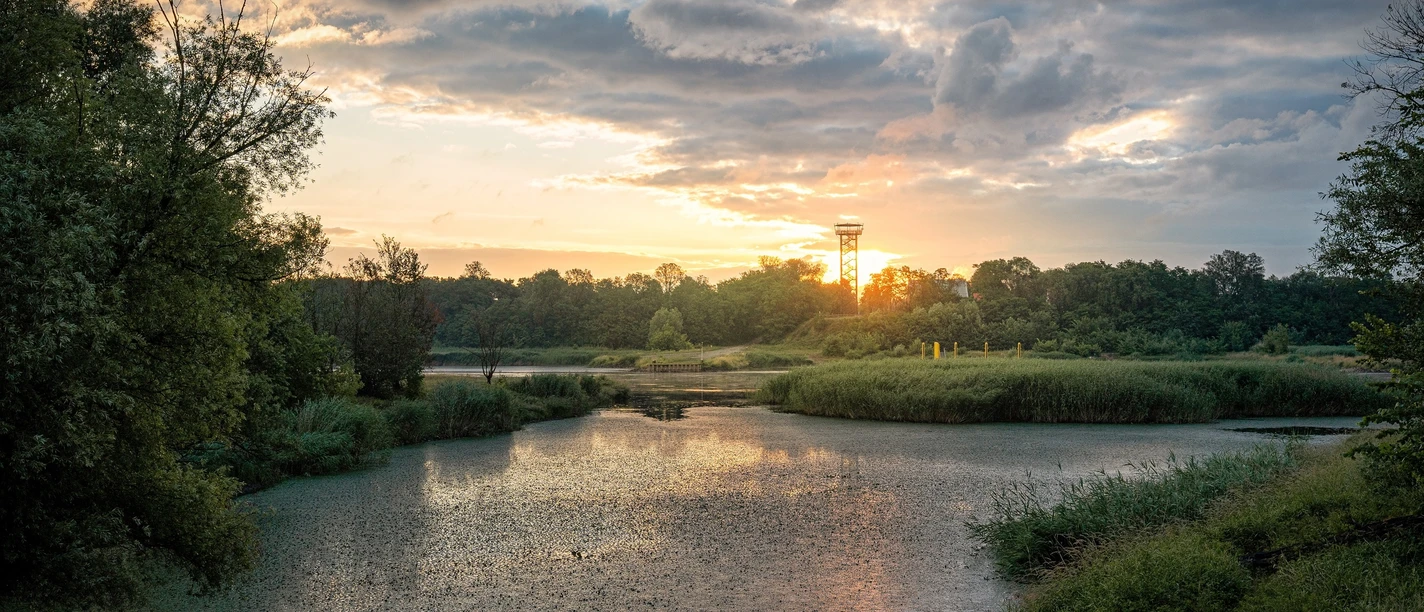 Birdwatchin an der Ziltendorfer Niederung