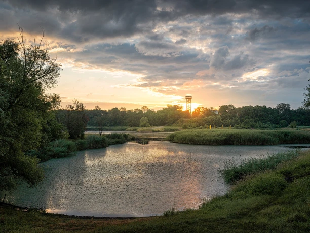 Birdwatchin an der Ziltendorfer Niederung