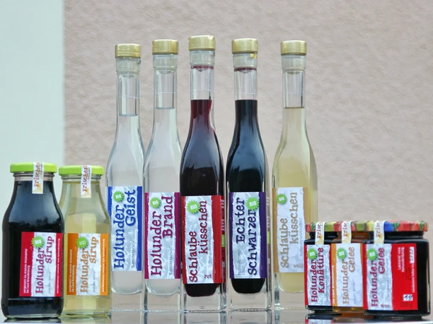 Holunderkönig in Groß Muckrow bei Friedland