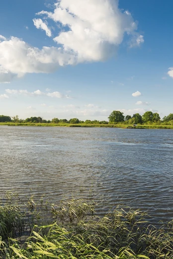 Birdwatching an der Oder bei Neuzelle