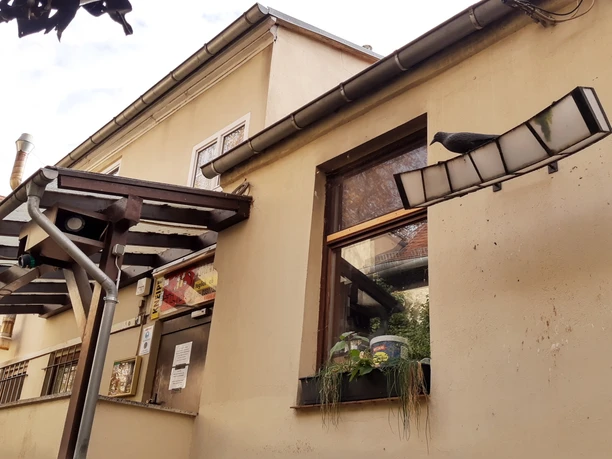 Bar & Kneipe Hafthorn