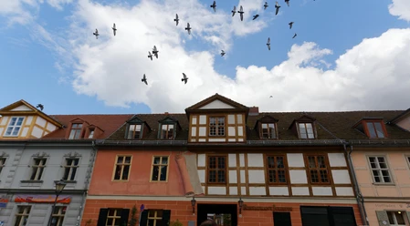 Restaurant "Juliette"