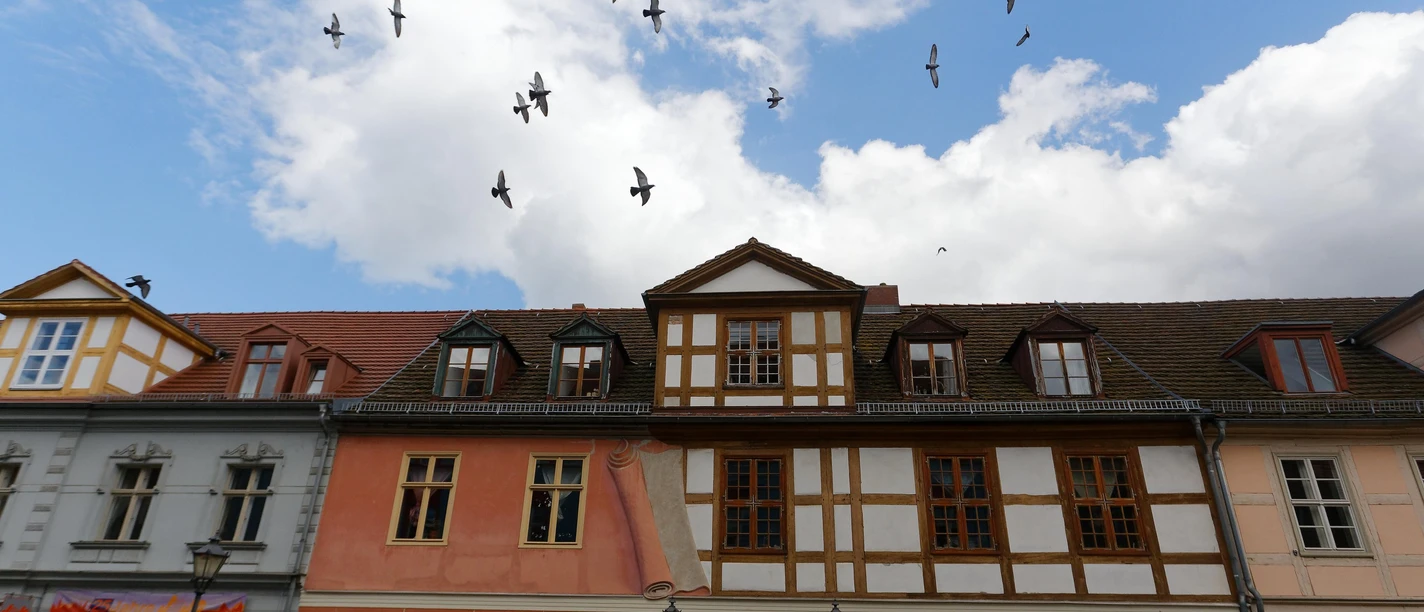 Restaurant "Juliette"