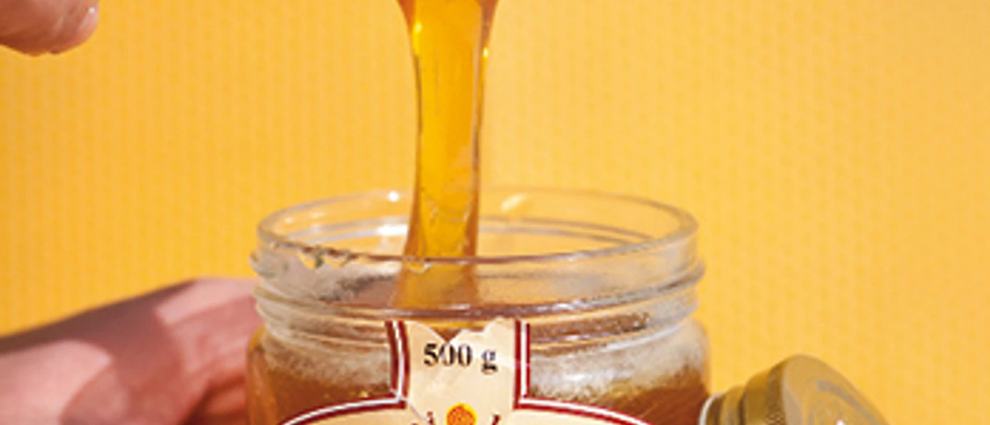 Imkerei Janthur aus Briesen (Mark)