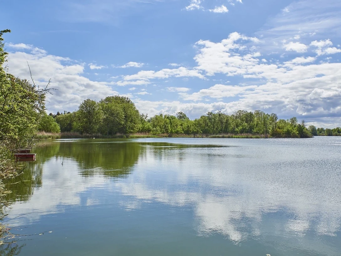 Lehngutbruch (Angelsee)