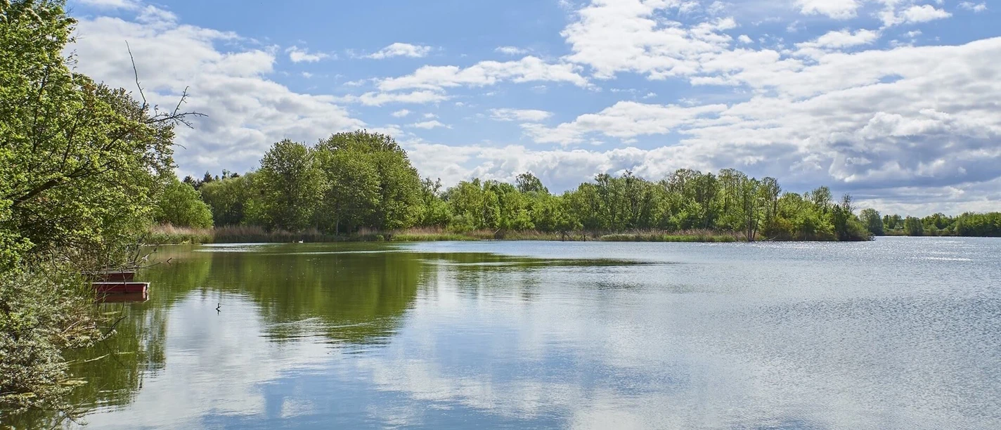 Lehngutbruch (Angelsee)