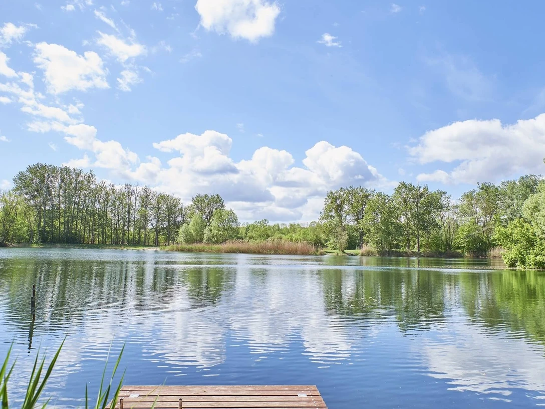 Steuersbruch (Angelsee)