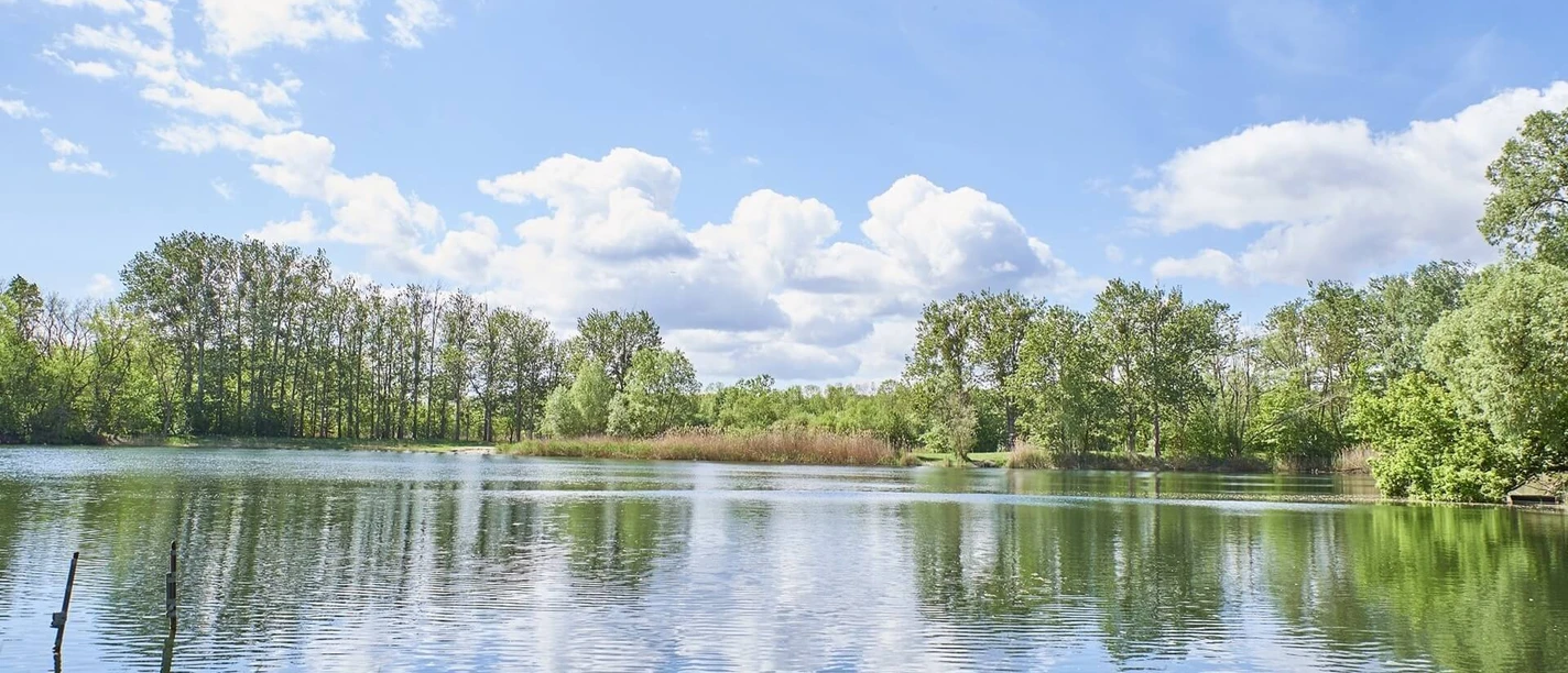 Steuersbruch (Angelsee)