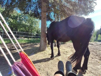 Retreat - Ich darf sein