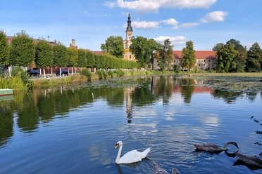Klosterteich Neuzelle
