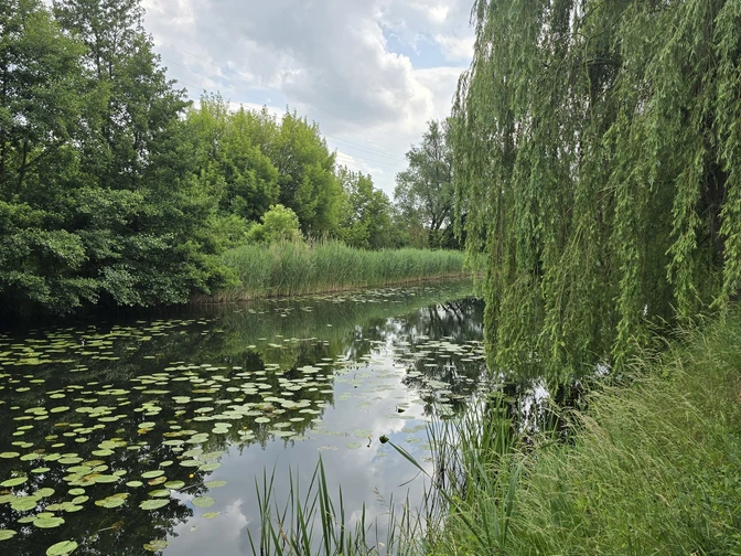 Friedrich-Wilhelm-Kanal