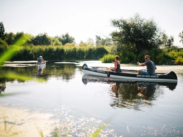 Durch den Naturpark Westhavelland
