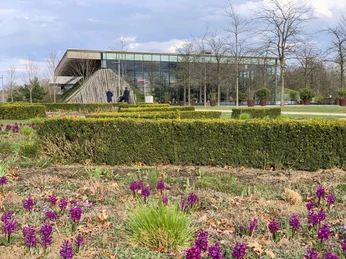 Der Volkspark im Frühjahr
