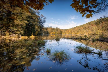 Naturpark Schlaubetal